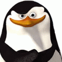 skipper